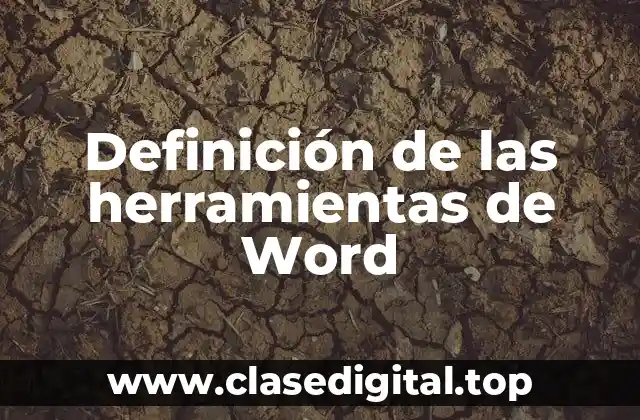 Definición de las herramientas de Word