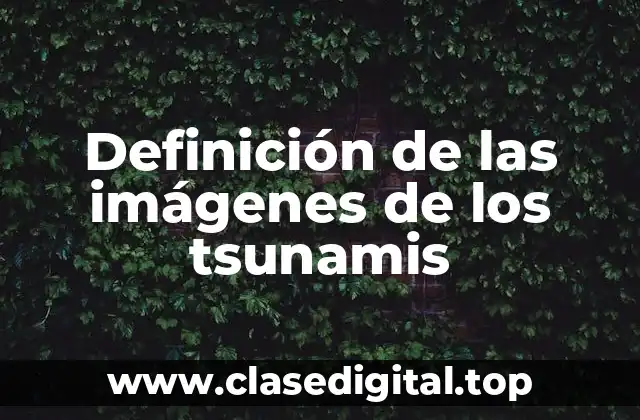 Definición de las imágenes de los tsunamis