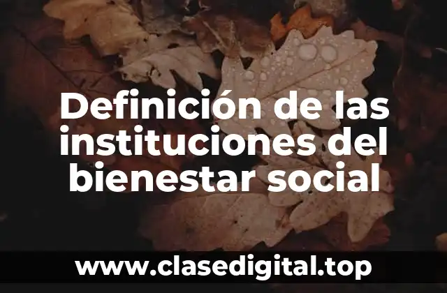 Definición de las instituciones del bienestar social