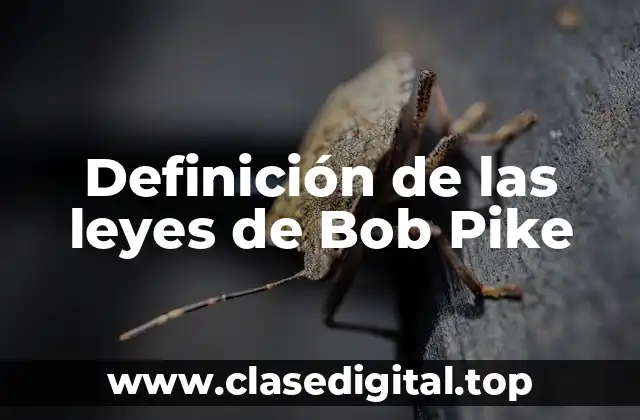 Definición de las leyes de Bob Pike