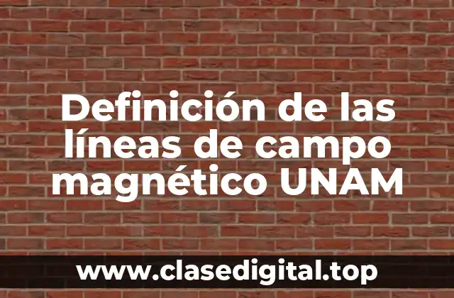 Definición de las líneas de campo magnético UNAM