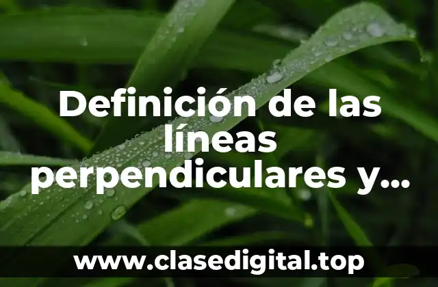 Definición de las líneas perpendiculares y paralelas