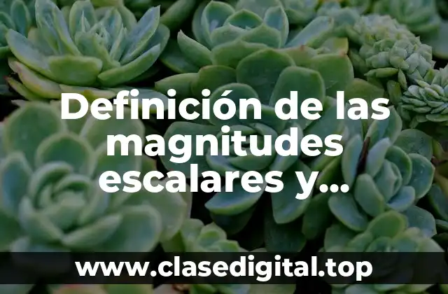 Definición de las magnitudes escalares y vectoriales