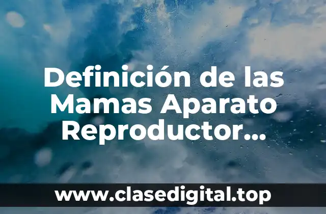 Definición de las Mamas Aparato Reproductor Femenino