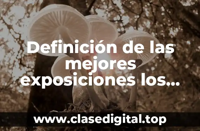 Definición de las mejores exposiciones los estilos de aprendizaje