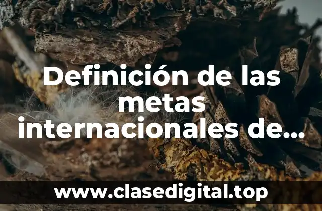 Definición de las metas internacionales de seguridad del paciente