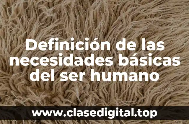 Definición de las necesidades básicas del ser humano