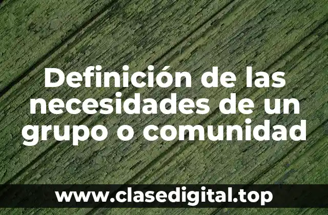 Definición de las necesidades de un grupo o comunidad