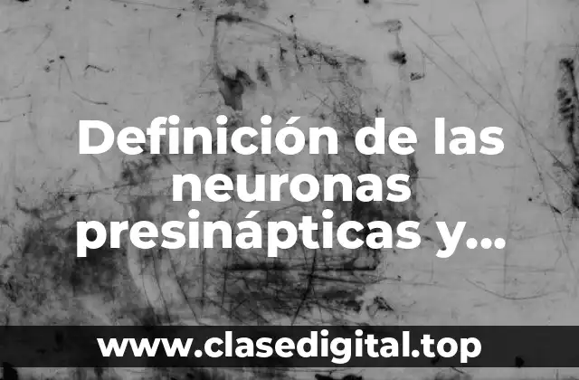 Definición de las neuronas presinápticas y postsinápticas