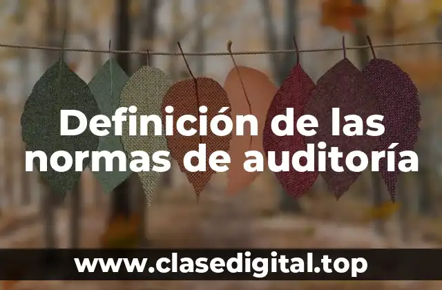 Definición de las normas de auditoría