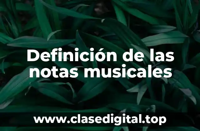 Definición de las notas musicales