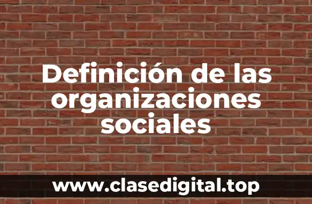 Definición técnica de las organizaciones sociales