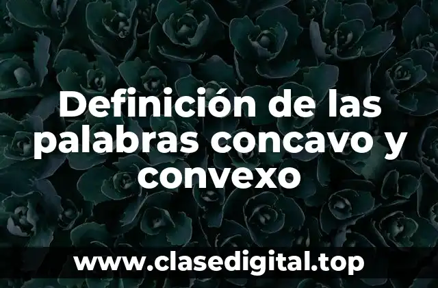 Definición de las palabras concavo y convexo
