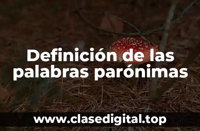 Definición de las palabras parónimas