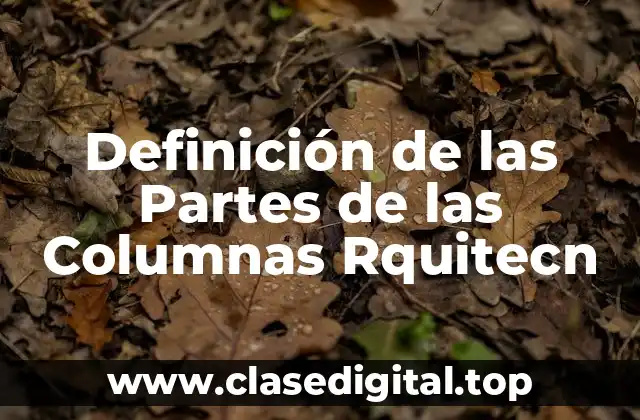 Definición de las Partes de las Columnas Rquitecn