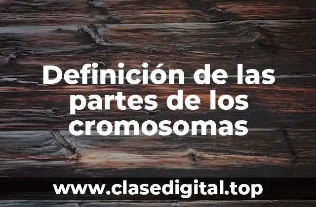 Definición de las partes de los cromosomas