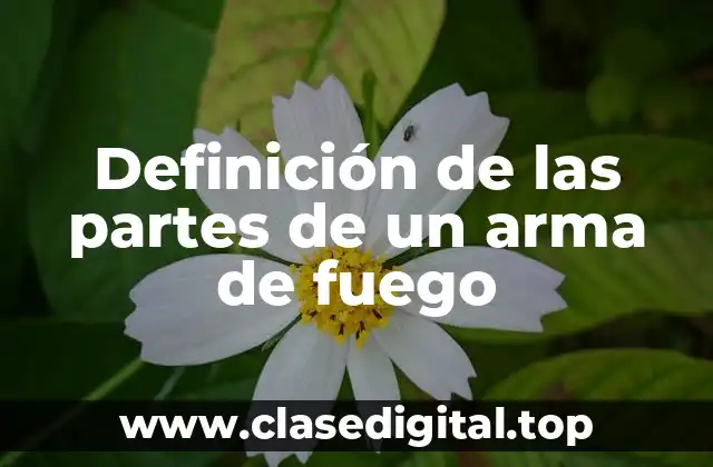 Definición de las partes de un arma de fuego