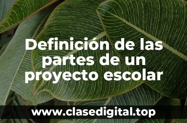 Definición de las partes de un proyecto escolar