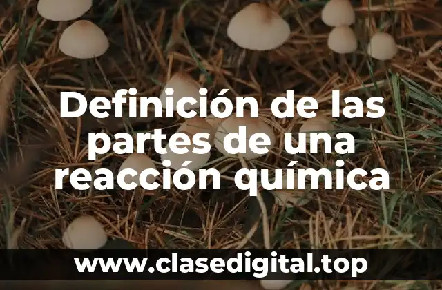 Definición de las partes de una reacción química