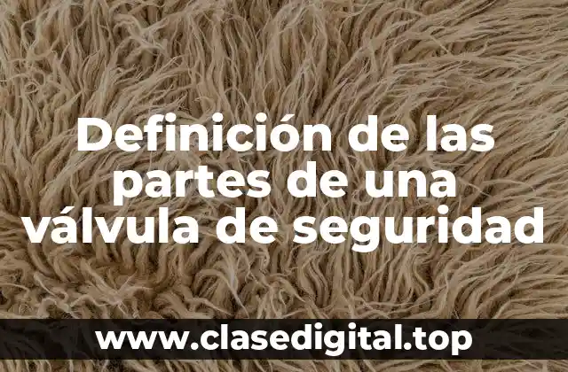 Definición de las partes de una válvula de seguridad
