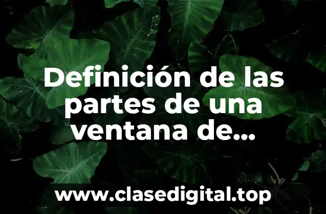Definición de las partes de una ventana de Windows