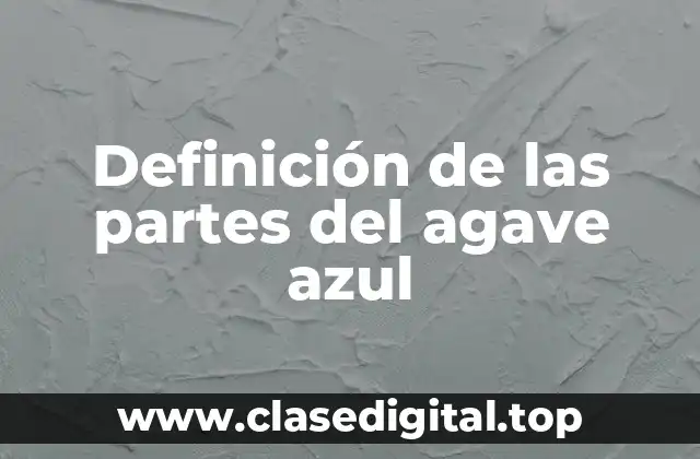 Definición de las partes del agave azul