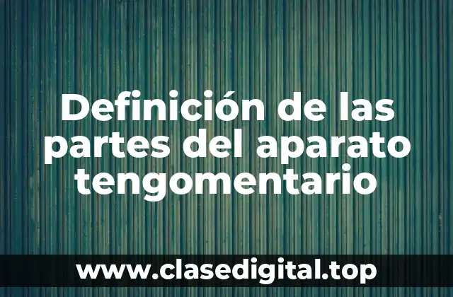 Definición técnica del aparato tengomentario