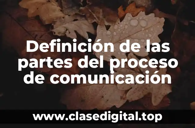 Definición de las partes del proceso de comunicación