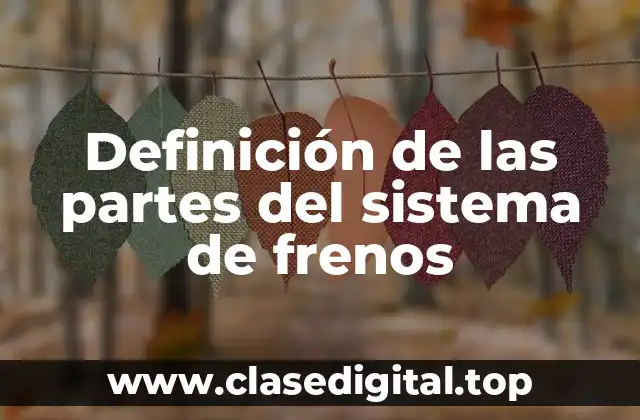 Definición de las partes del sistema de frenos