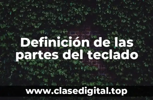 Definición de las partes del teclado