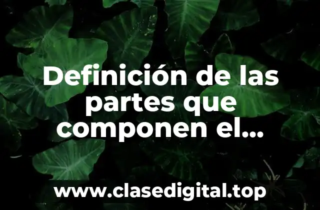 Definición de las partes que componen el método científico