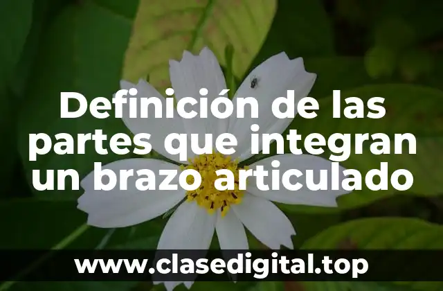 Definición de las partes que integran un brazo articulado