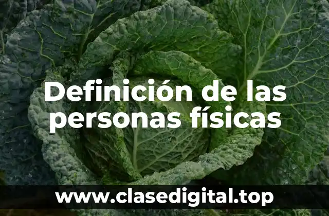 Definición de las personas físicas