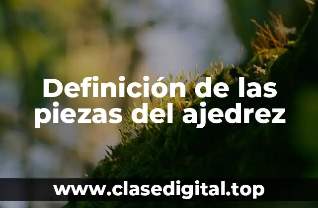 Definición de las piezas del ajedrez