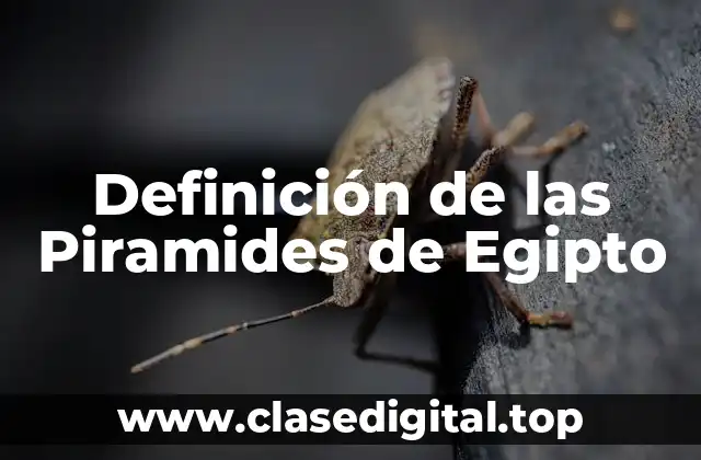 Definición de las Piramides de Egipto