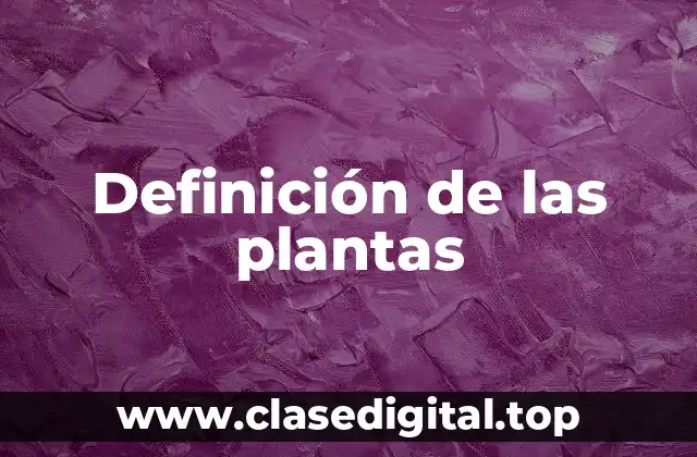Definición de las plantas