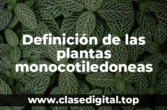 Definición de las plantas monocotiledoneas