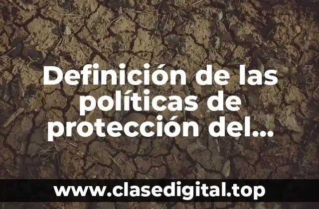 Definición de las políticas de protección del medio ambiente