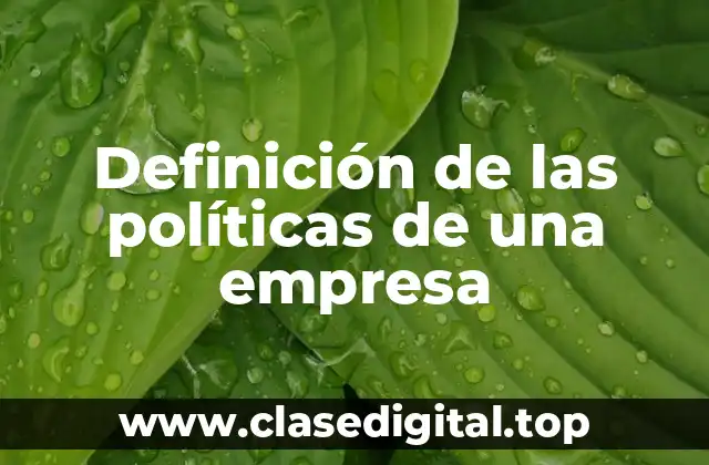 Ejemplos de las políticas de una empresa