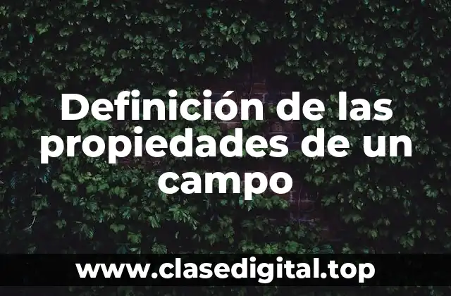 Definición de las propiedades de un campo