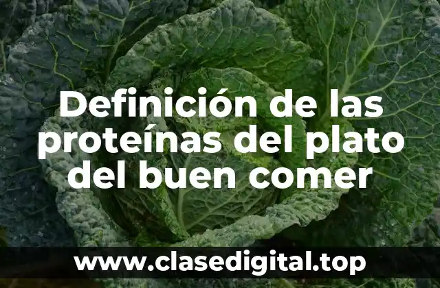 📗 Definición técnica de proteínas del plato del buen comer