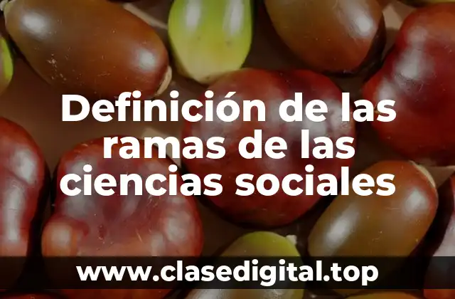 Definición de las ramas de las ciencias sociales
