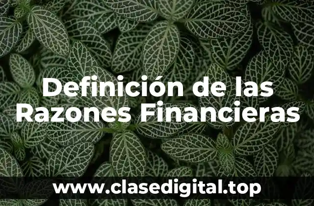Definición de las Razones Financieras
