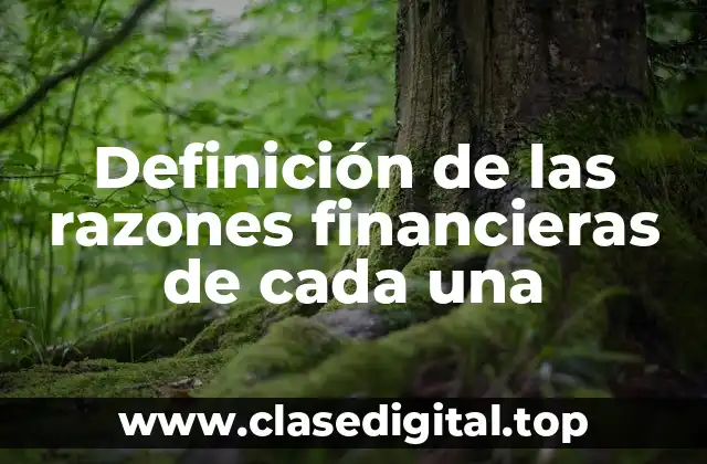Definición de las razones financieras de cada una