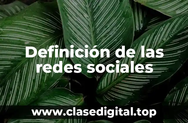 Definición de las redes sociales