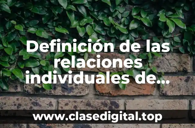Definición de las relaciones individuales de trabajo