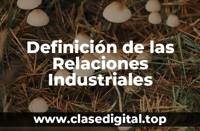 Definición de las Relaciones Industriales