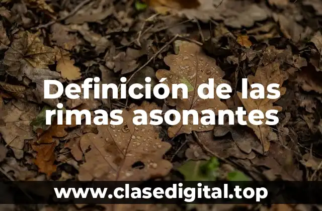 Definición de las rimas asonantes