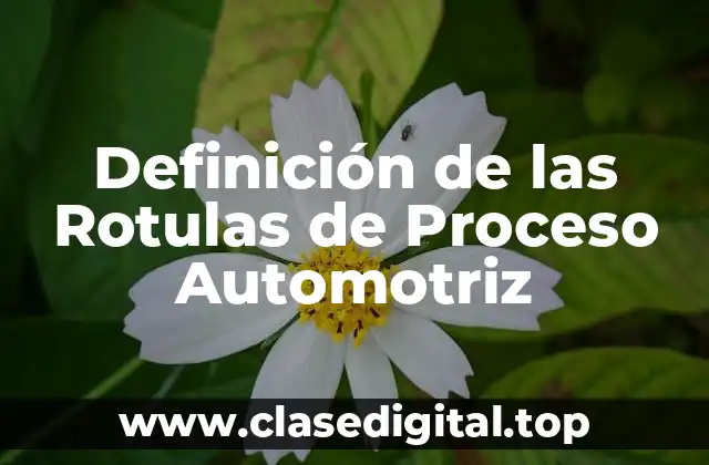 ✳️ Definición técnica de las Rotulas de Proceso Automotriz