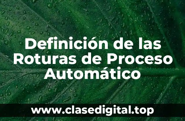 Definición de las Roturas de Proceso Automático